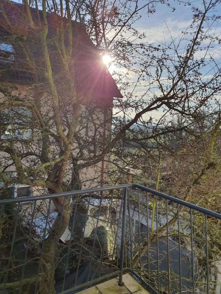 Luxus Ferienwohnung photo 3