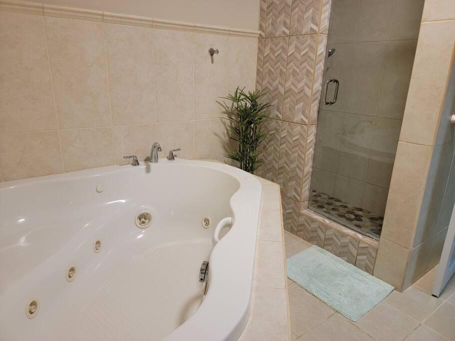 Private Beachfront House photo 4