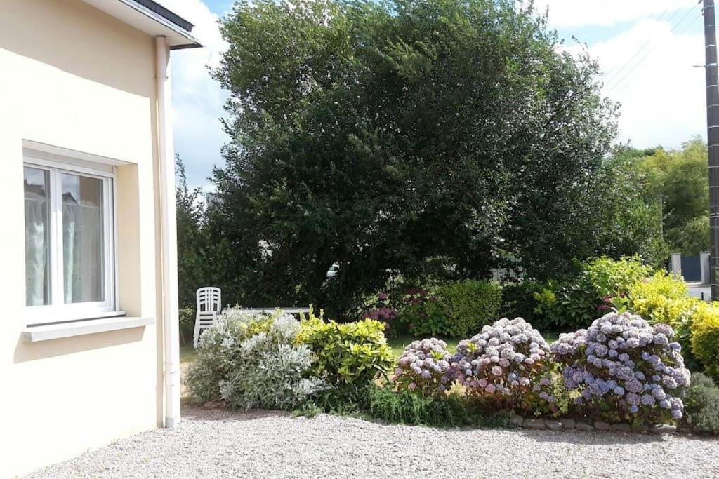 maison 6 personnes FREHEL photo 4