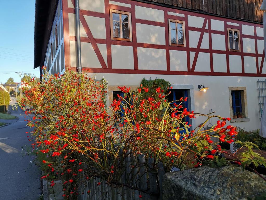 Urlaub im 200 Jahre alten Fachwerkhaus photo 4