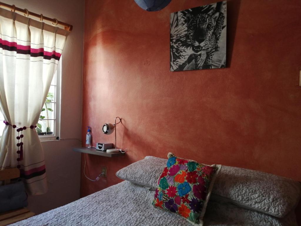 Casa Mixteca Santo Domingo Oaxaca photo 2