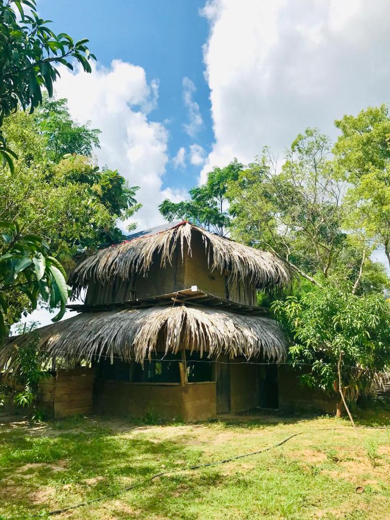 Mallara RestSafari (Cabana & Family Restaurant) photo 4