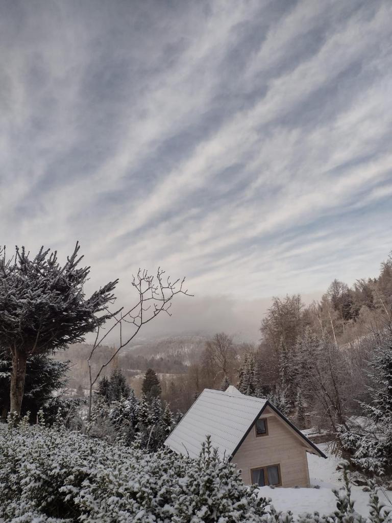 Domek Na Leśnym Wzgórzu photo 3