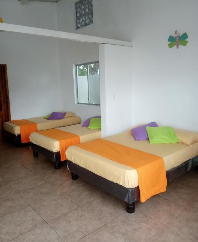 Olimpia Habitaciones Departamentos photo 1