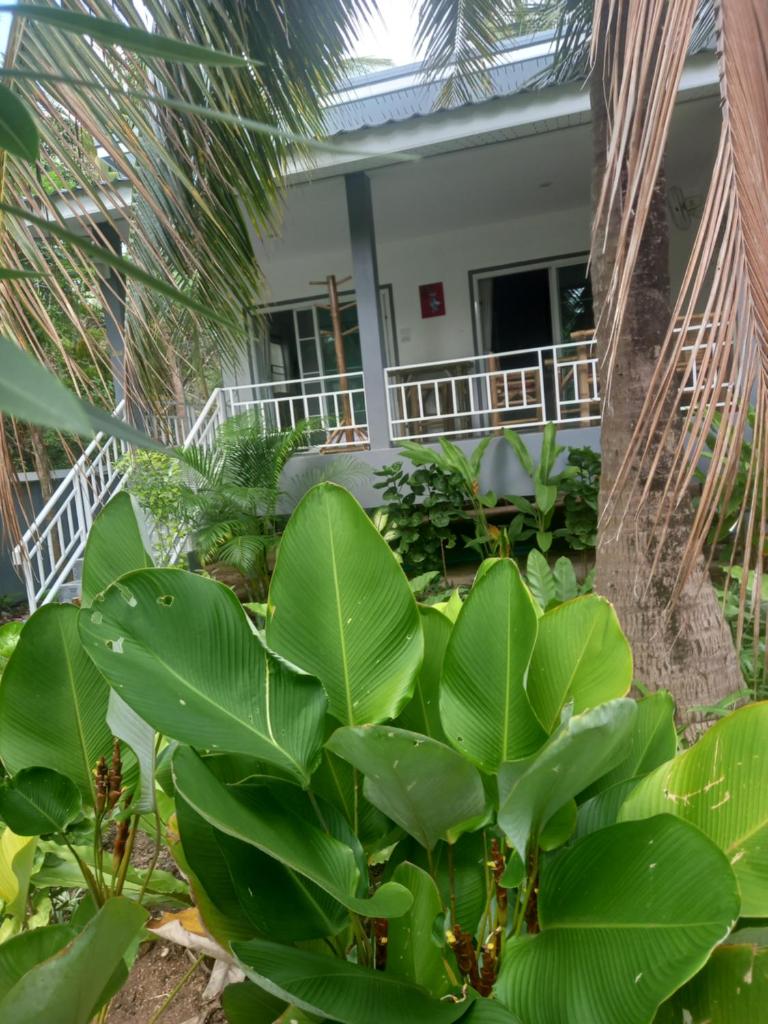 sweet home phangan photo 1