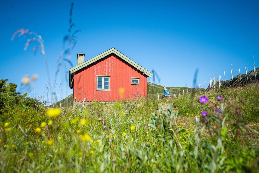 Olestølen