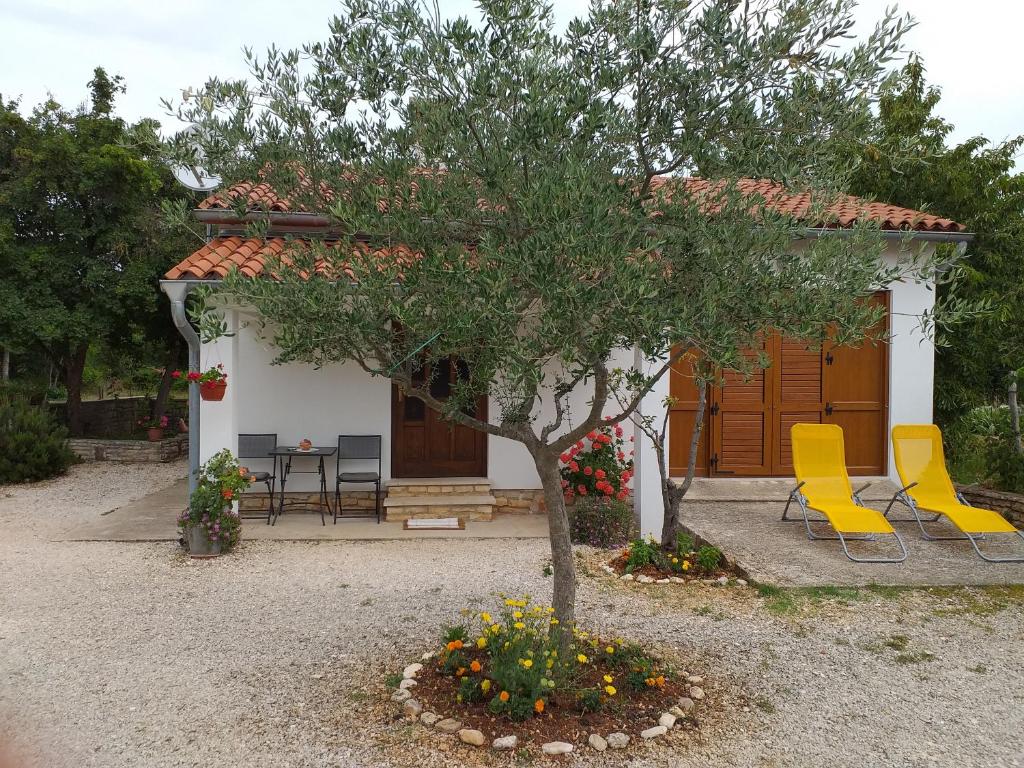 House Ulika photo 1