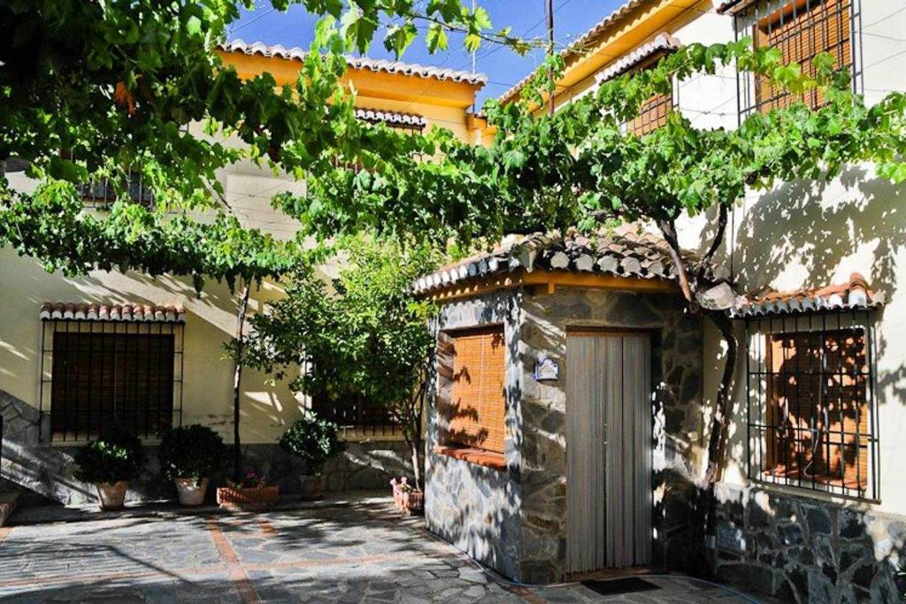 Casa Rural Las Huertas de Roque photo 3