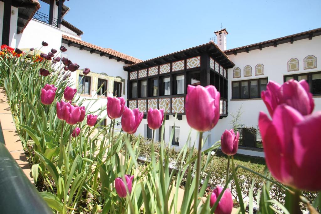 HOTEL SPA MONTANA photo 4