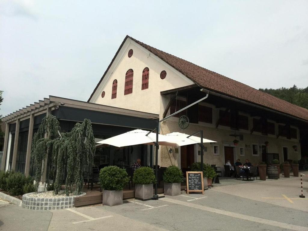 Pr Kopač photo 4