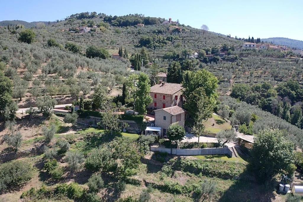 Villa Vestra in Vinci holiday home photo 1