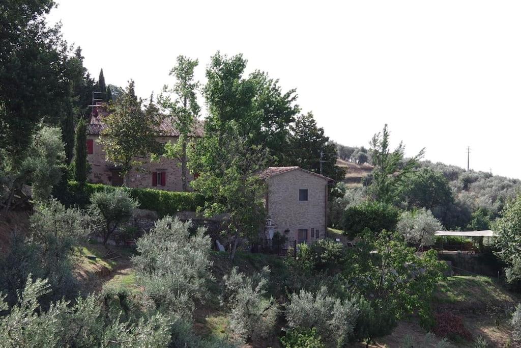 Villa Vestra in Vinci holiday home photo 2