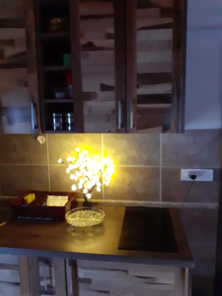 Vila PARADIZO-ZLATAR, studio apartman 1 photo 1