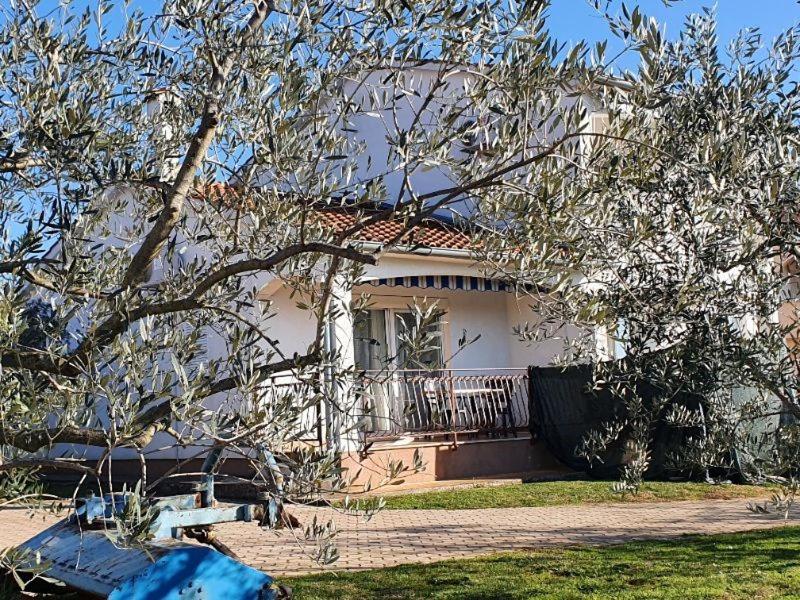 Apartments Labinac in Vabriga with garden close to sea photo 1
