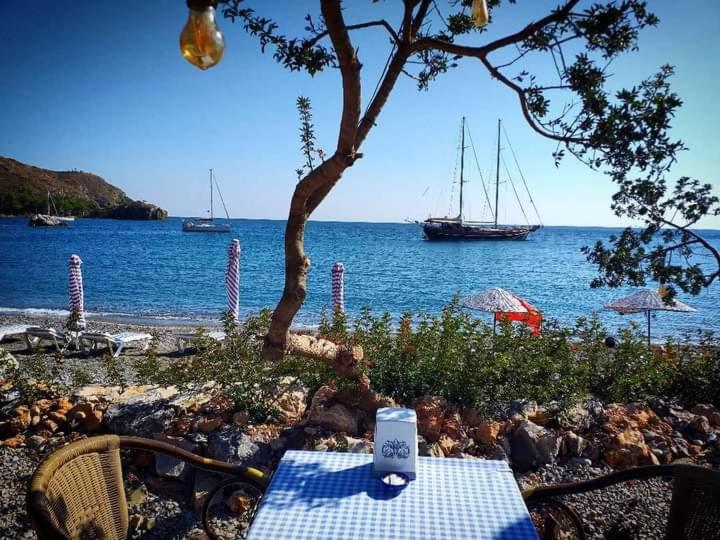 Datca Masal Gibi Plaj&Restaurant photo 4