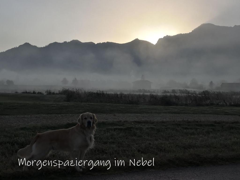 BESTE ZEIT Ferienwohnung photo 3