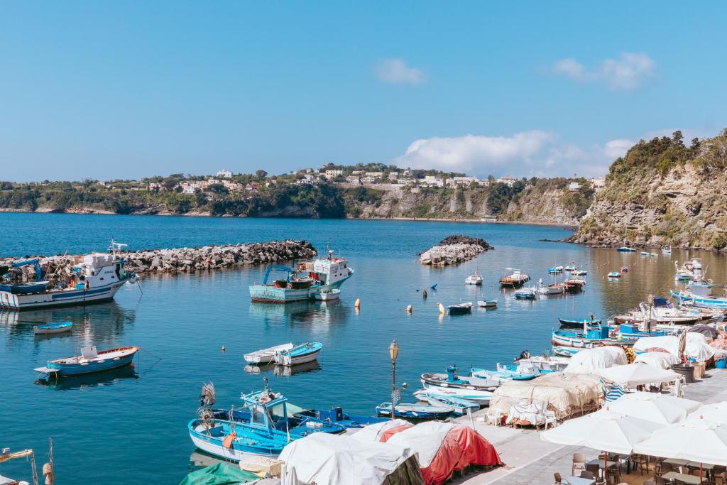 De Lamartine a Marina di Corricella