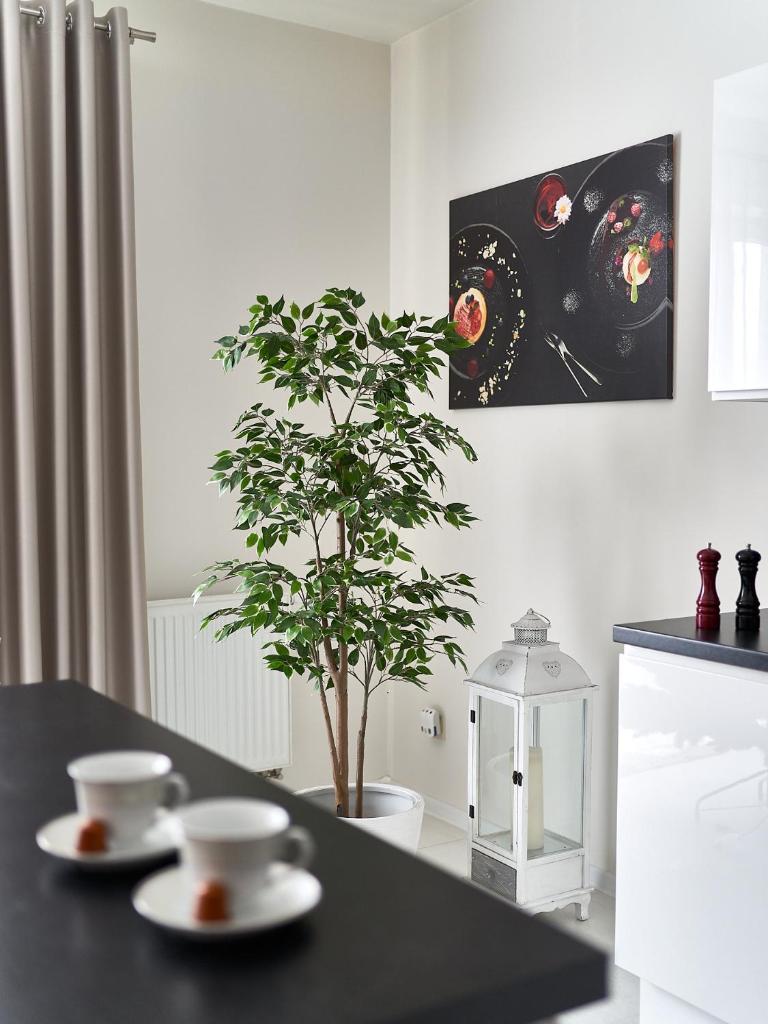 Goldwell Apartments - Szczesliwa photo 4