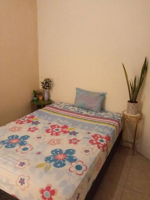 La Casa Del Pinito photo 1