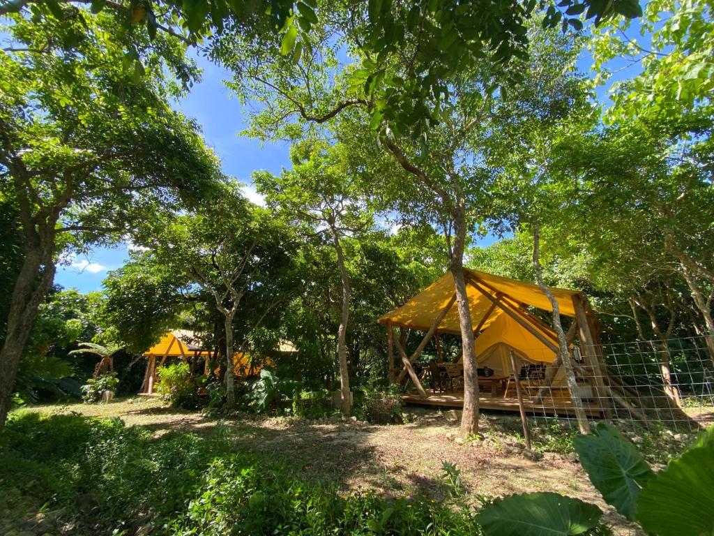 RAINBOW FOREST Permaculture filed - Vacation STAY 13693v