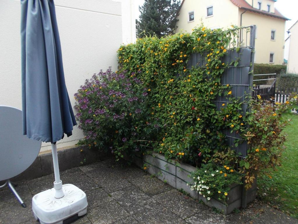 Pension/FeWo E. Tschernach photo 4