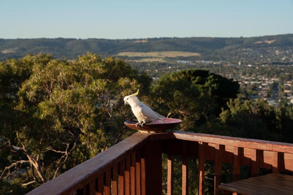 Kinoie Mornington - OCEANVIEW photo 4