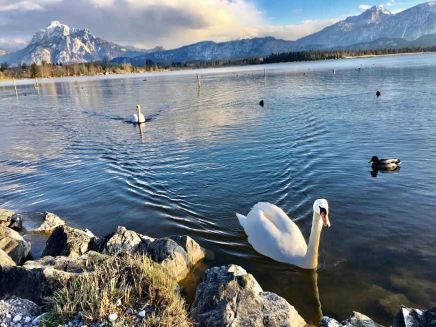 Hotel Fischer am See photo 1