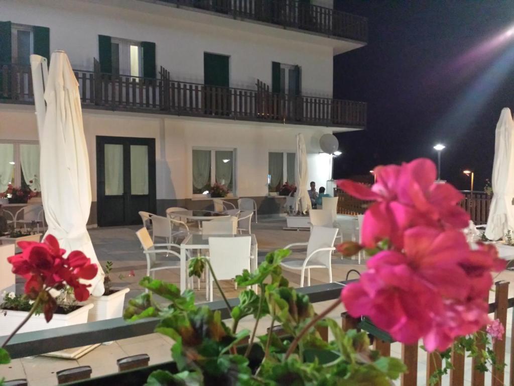 Hotel Pineta photo 2
