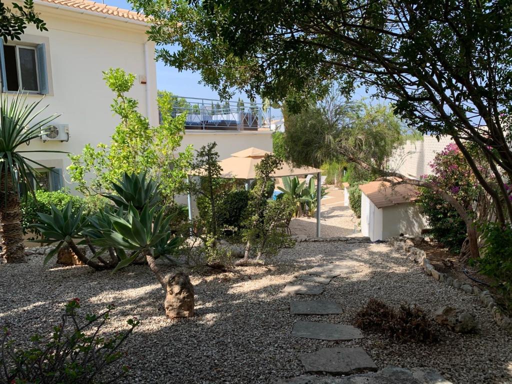 Beach villa Gladiolus photo 4