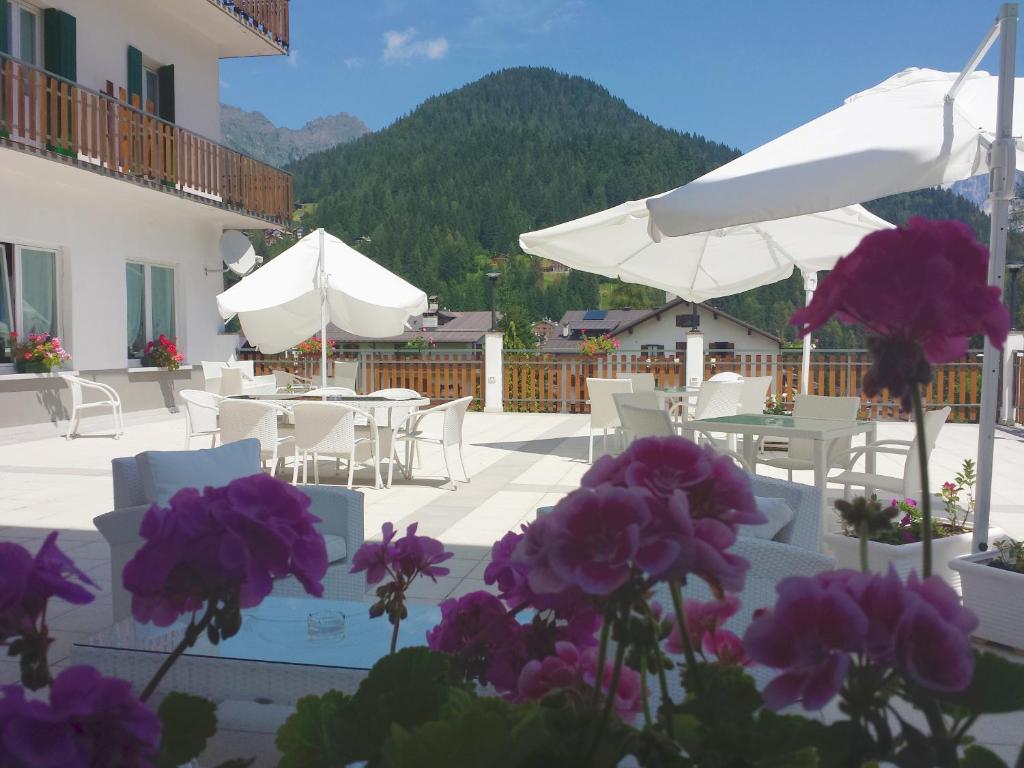 Hotel Pineta photo 1