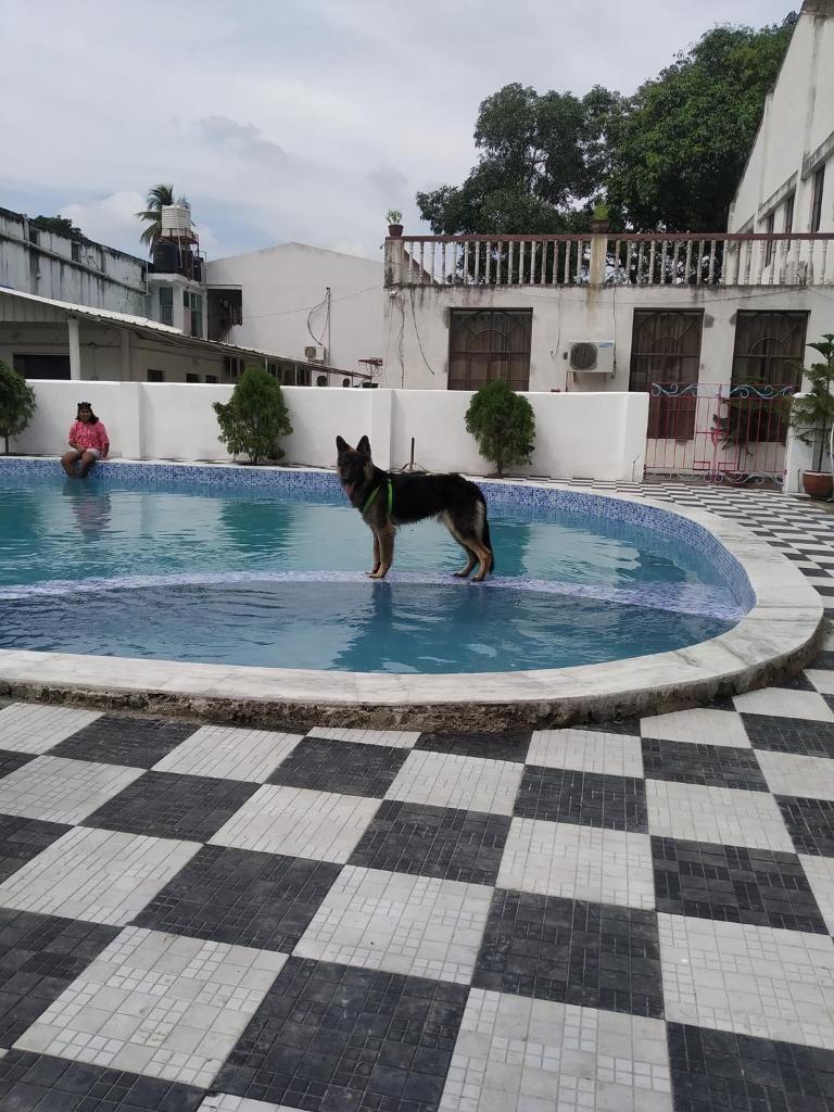 Samriddhi Banquet Garden & Resorts photo 3