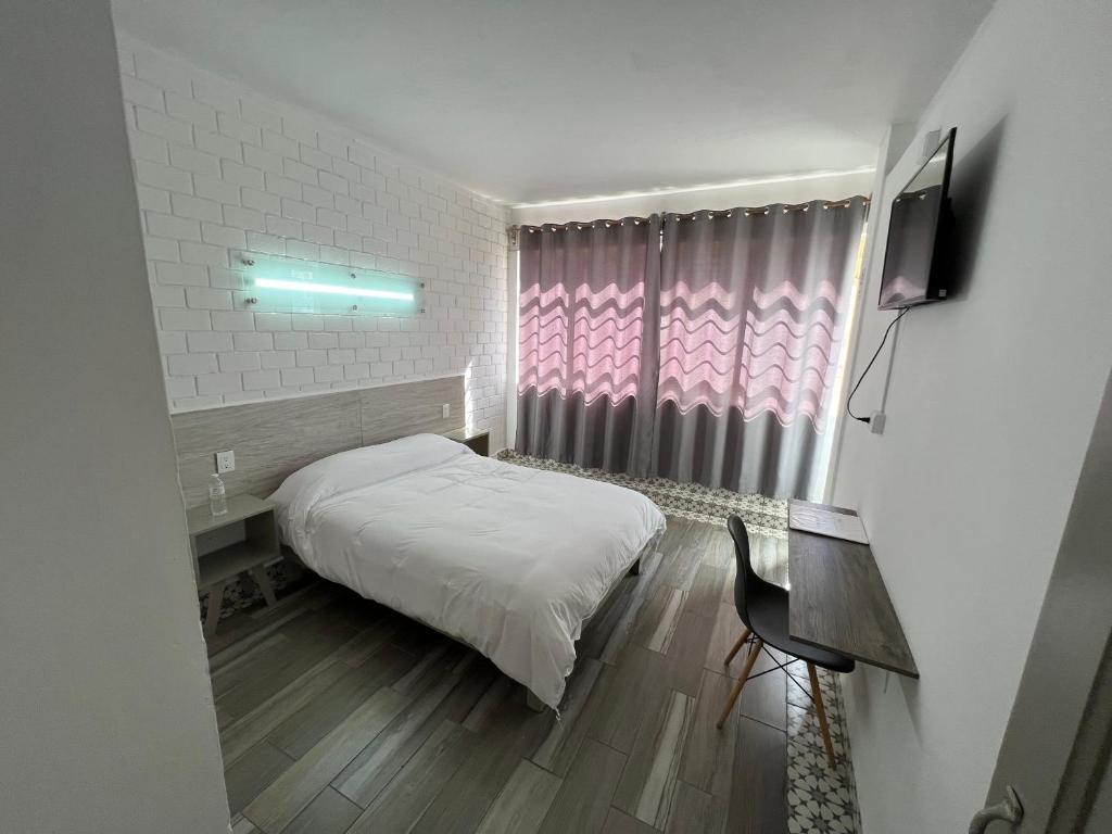 Hotel Insurgentes photo 4