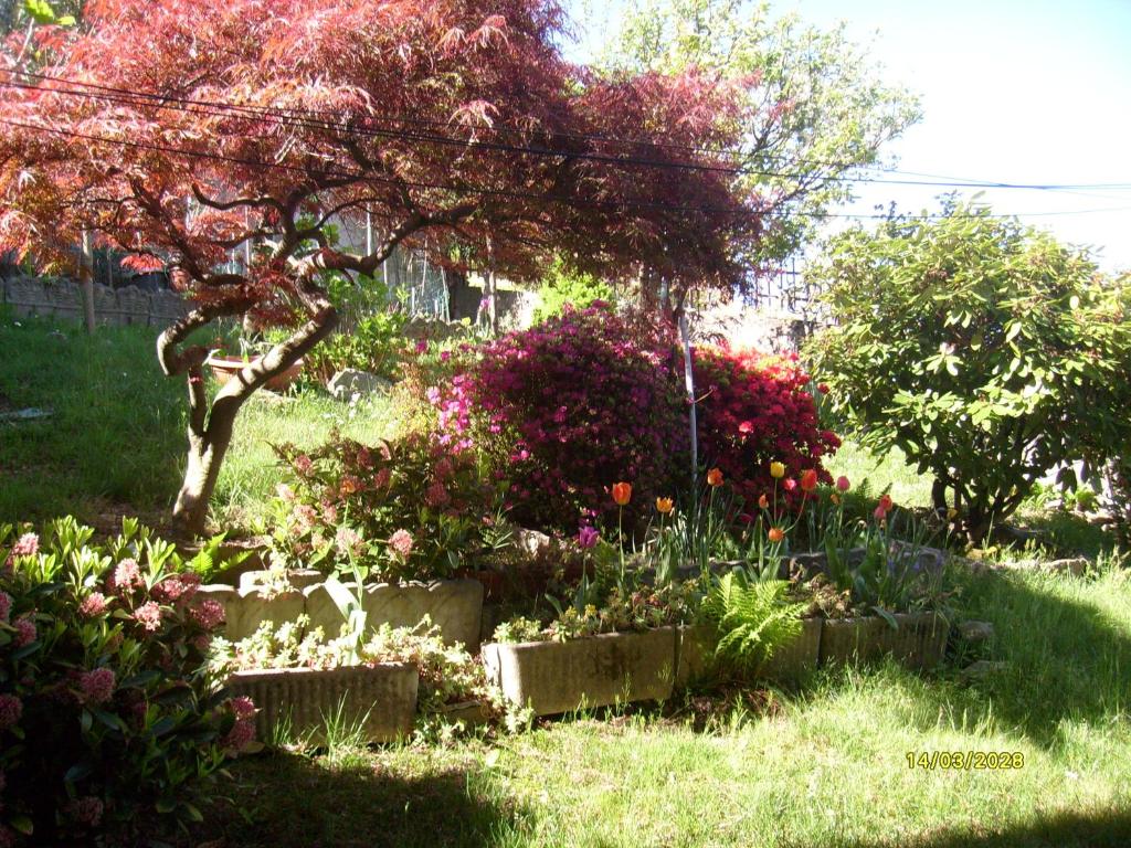 House Yanina photo 4