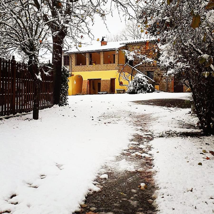 Agriturismo Podernuovo photo 3