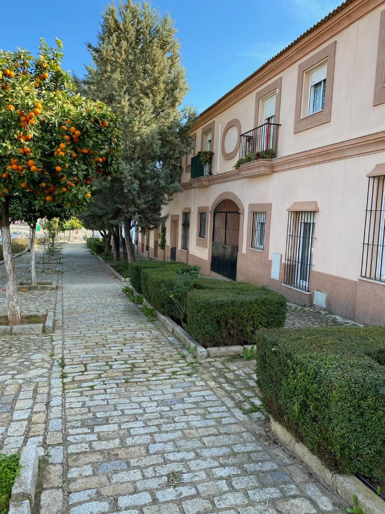 Sevilla. Gerena Casa Rural para familia o profesionales photo 1