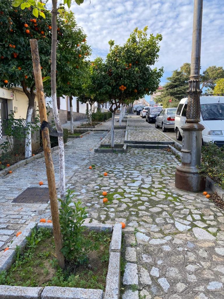 Sevilla. Gerena Casa Rural para familia o profesionales photo 2