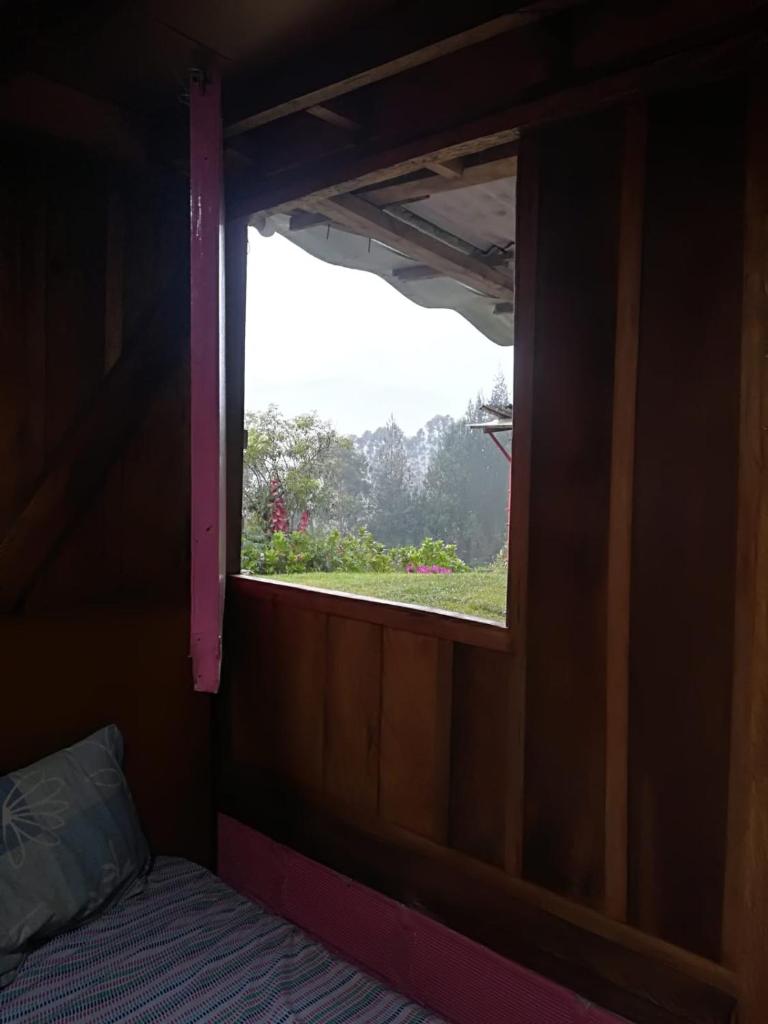 Finca Cafetera el Coral photo 4