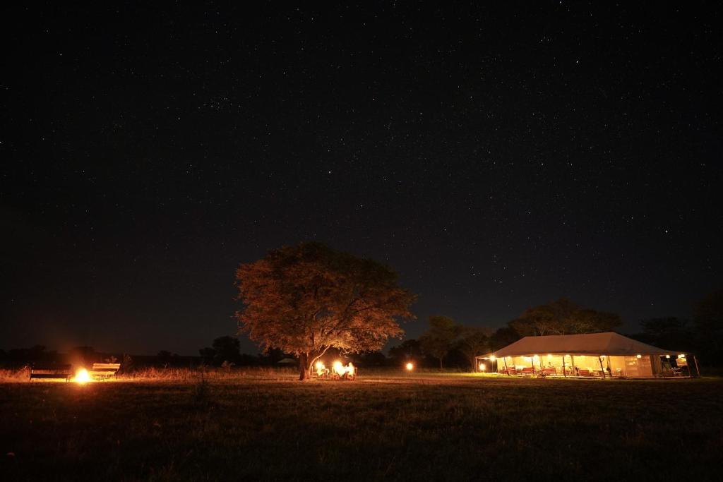 Zawadi Camp photo 4