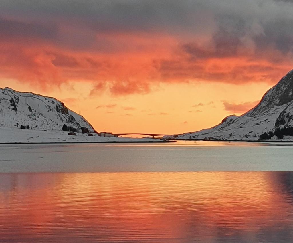 Fredvang Panorama Lofoten photo 4