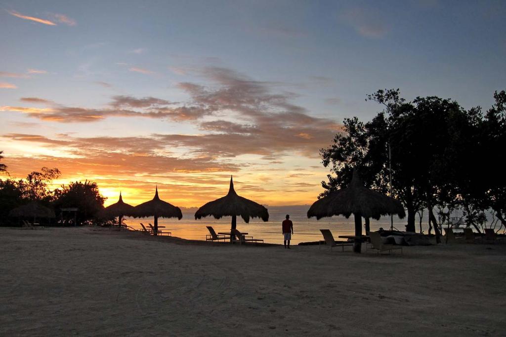 Bluewater Panglao Resort photo 3
