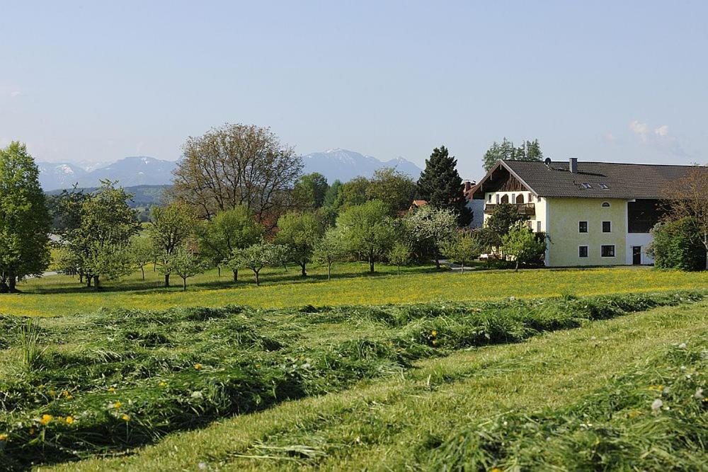Köllhof photo 1