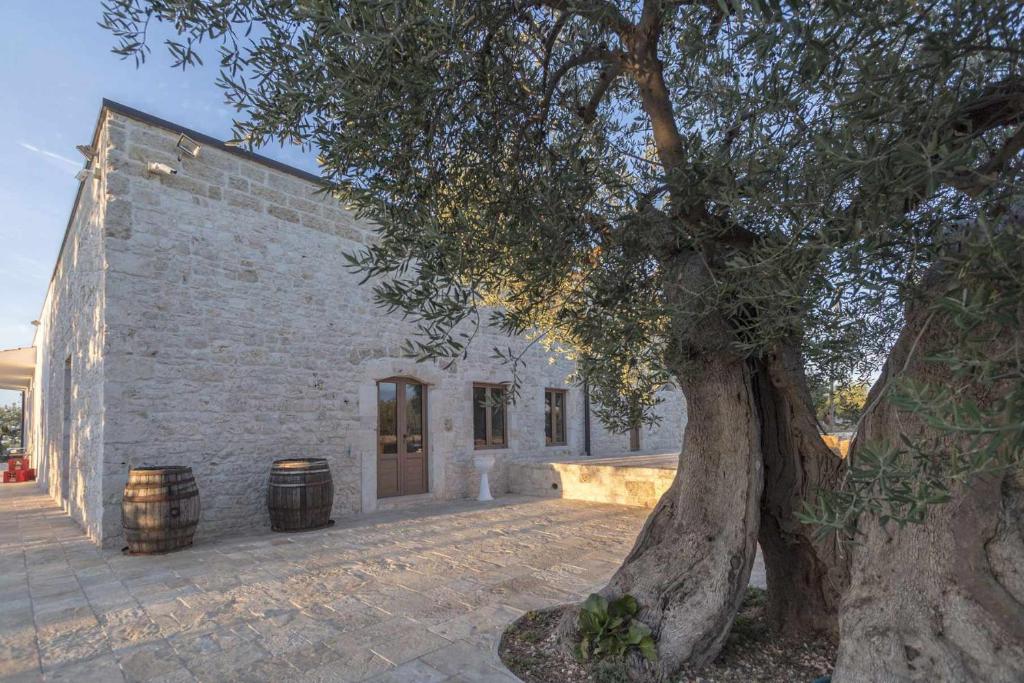 Masseria Fanizzi photo 4