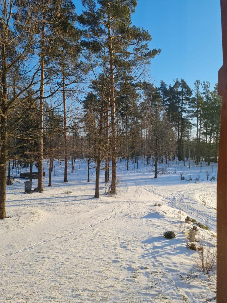 Grundenberga photo 2