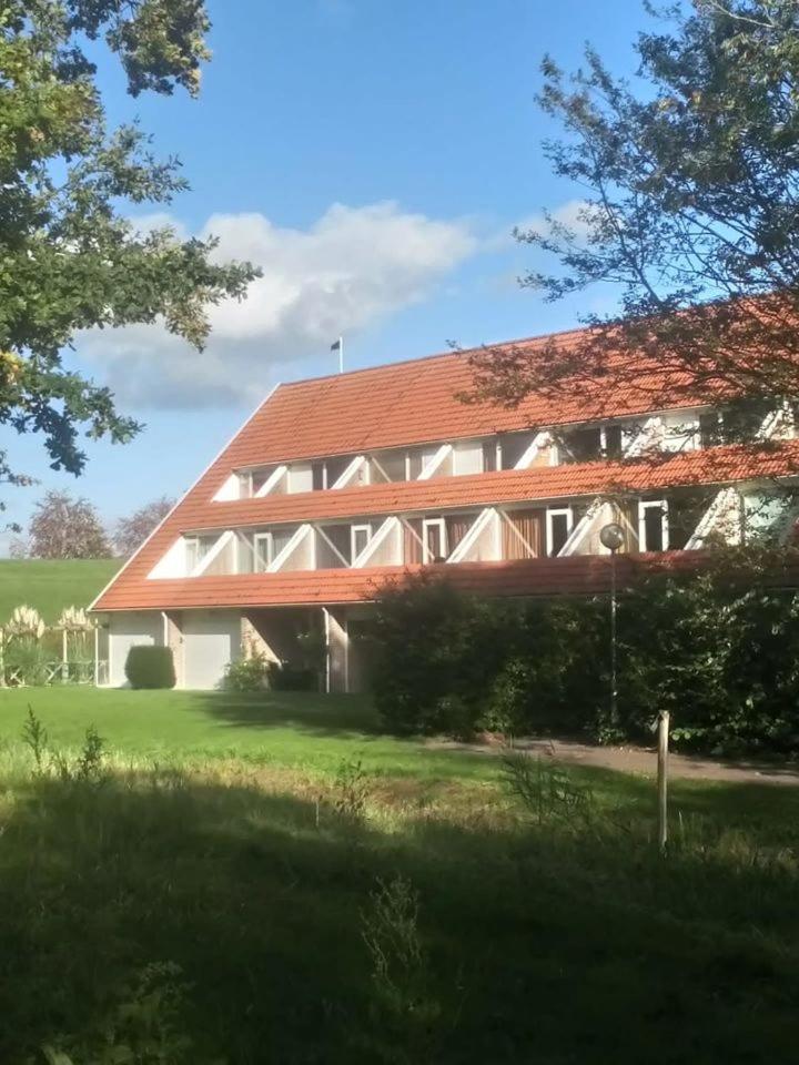 De Tureluur Bruinisse photo 3