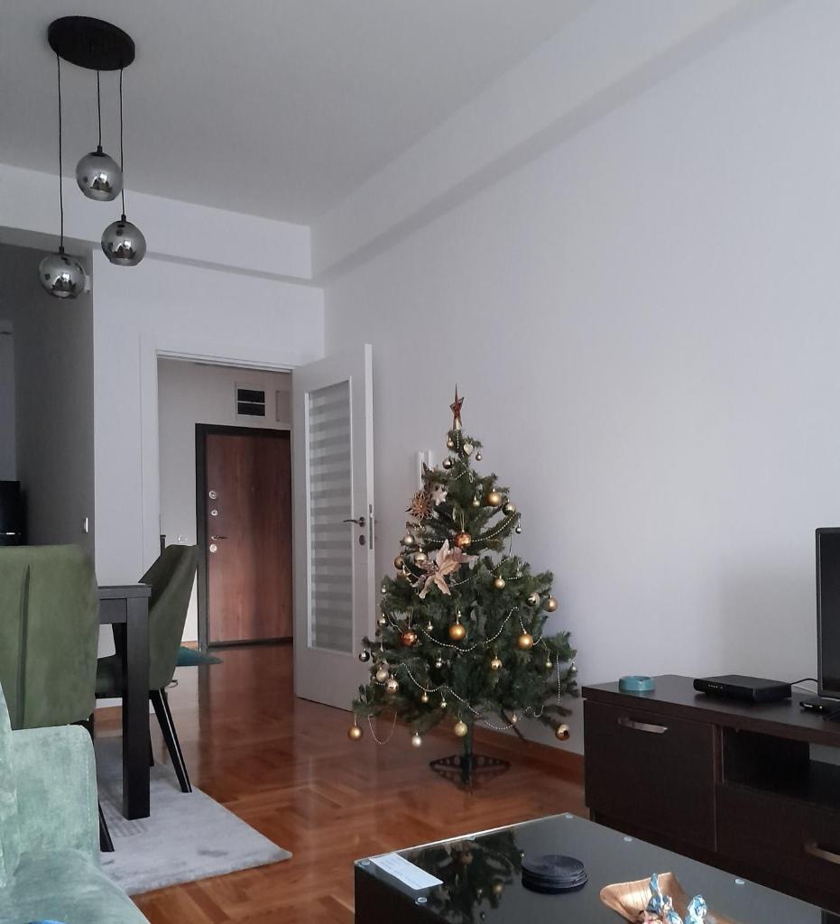 Apartman Green wood photo 3