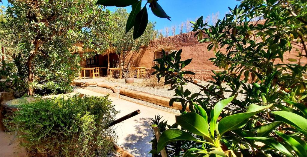 Chill Atacama Harickuntur photo 1