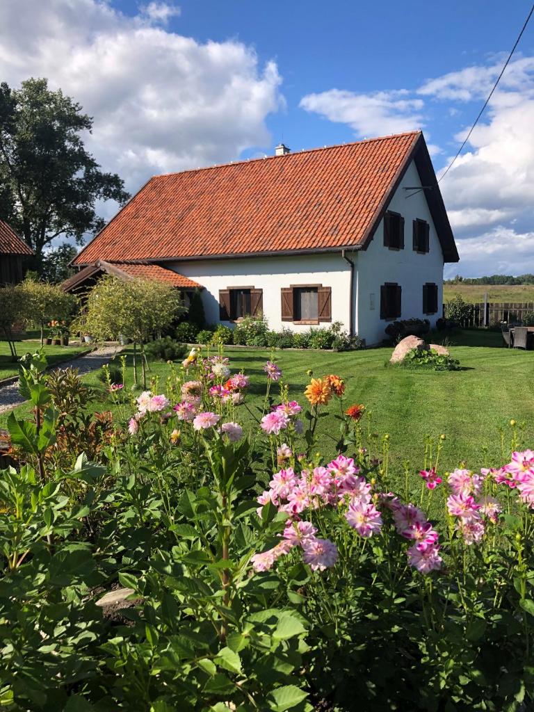 Siedlisko Borówkowo photo 1
