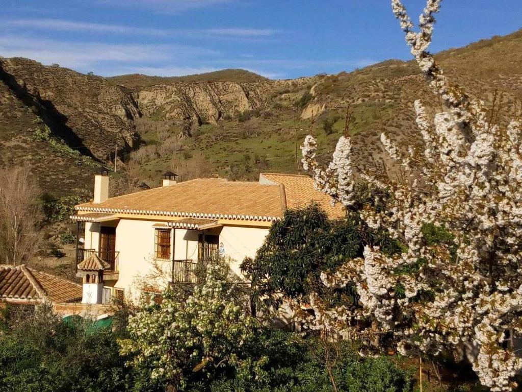 Casa Rural Las Huertas de Roque photo 4