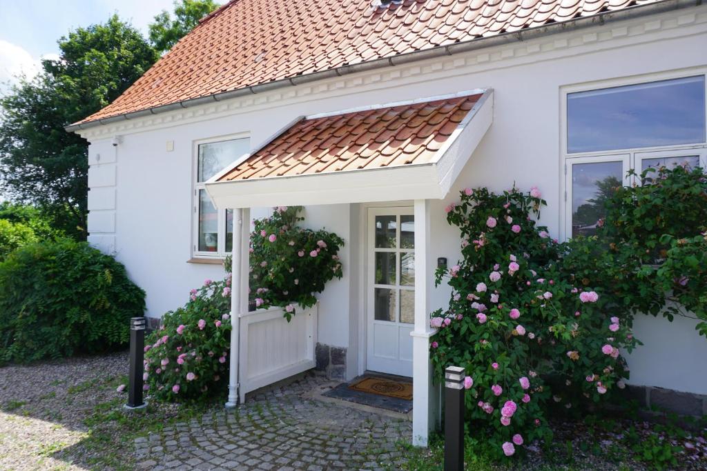 Old Roses Guesthouse photo 1