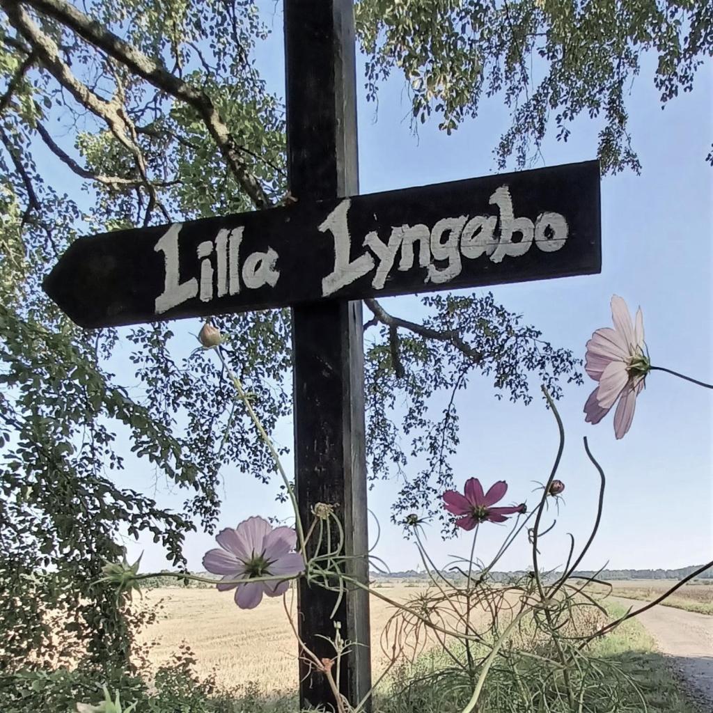 Lilla Lyngabo photo 1